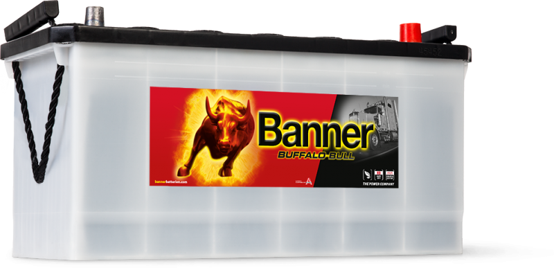 BUFFALO BULL 100Ah